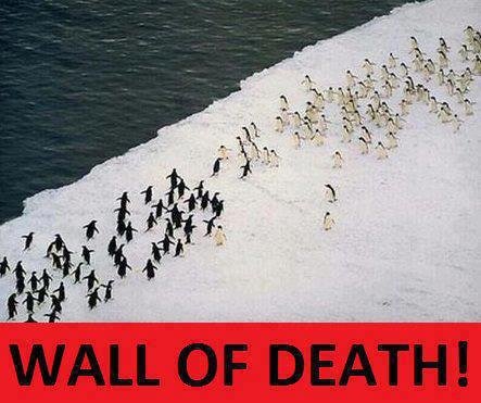 wall of death!. hey!